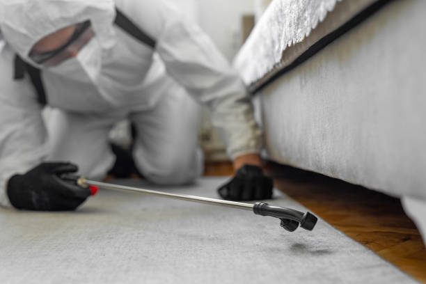 Professional Bed Bug Control technician working in Port Morris, NJ