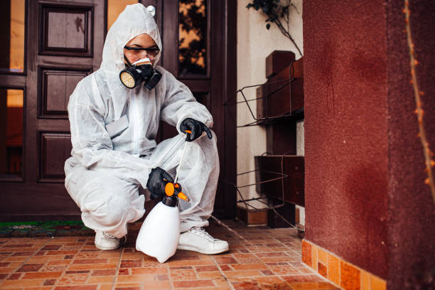 Reliable Bed Bug Control contractor in Port Morris, NJ by Nex Pest Control